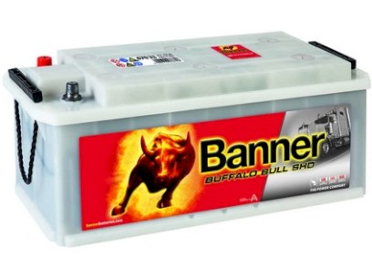 Autobaterie 12V 170Ah BUFFALO BULL SDH 1000A  514x218x210mm